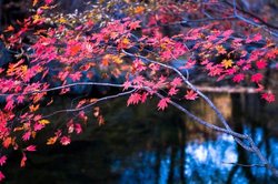 污污的黄片软件权限用途说明